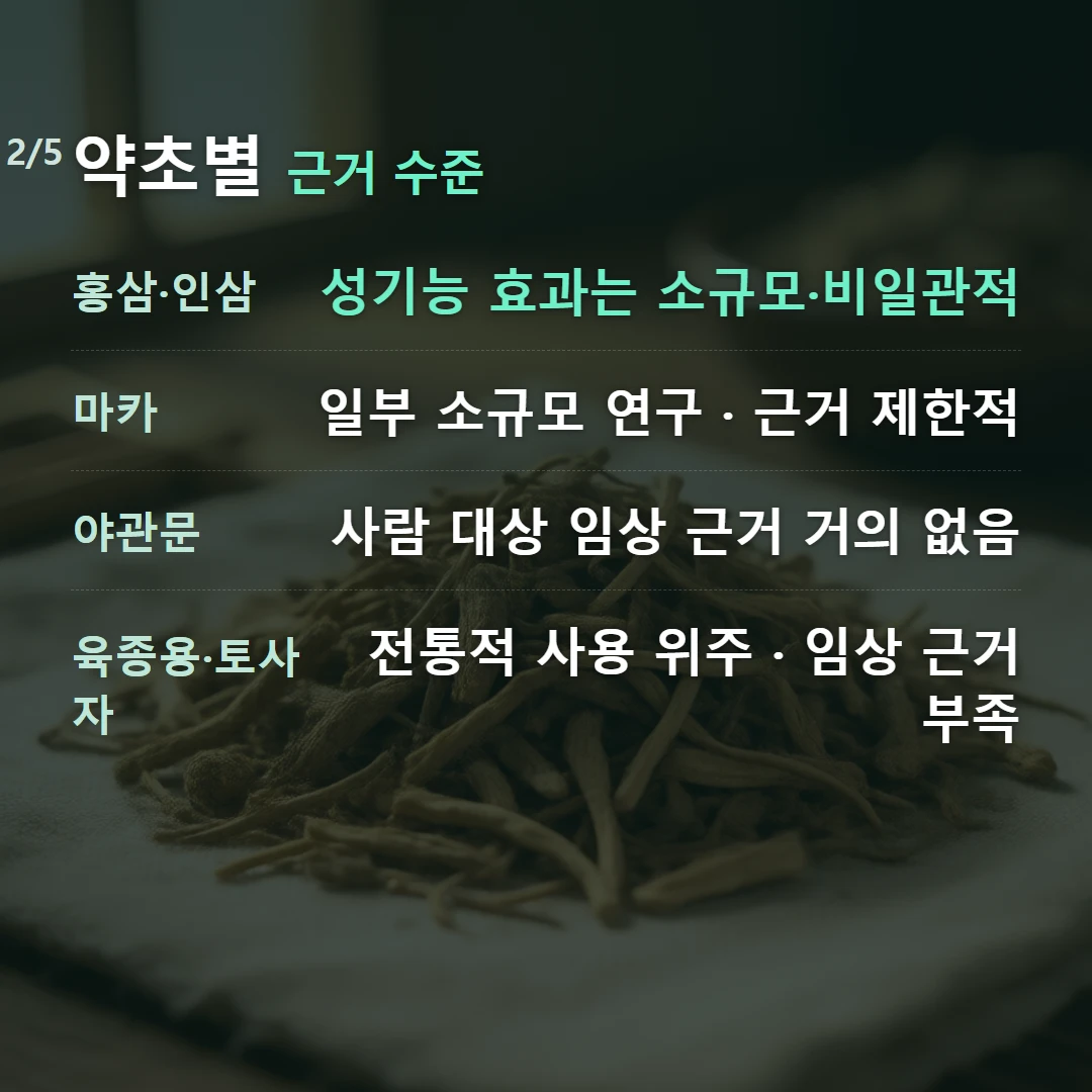 약초별 근거 수준 — 홍삼·인삼 성기능 효과는 소규모·비일관적, 마카 일부 소규모 연구 · 근거 제한적, 야관문 사람 대상 임상 근거 거의 없음, 육종용·토사자 전통적 사용 위주 · 임상 근거 부족
