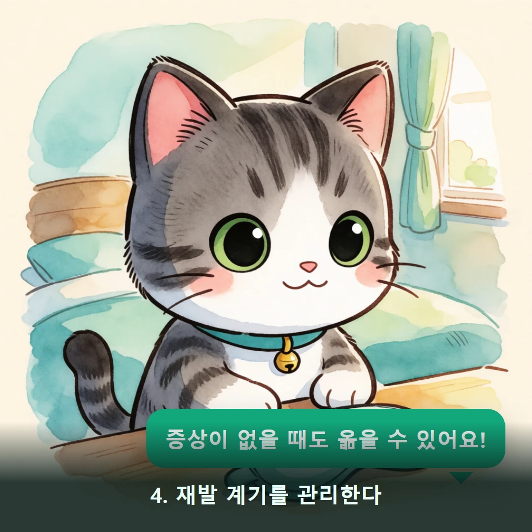 웹툰 4컷 — 4. 재발 계기를 관리한다 (증상이 없을 때도 옮을 수 있어요!)