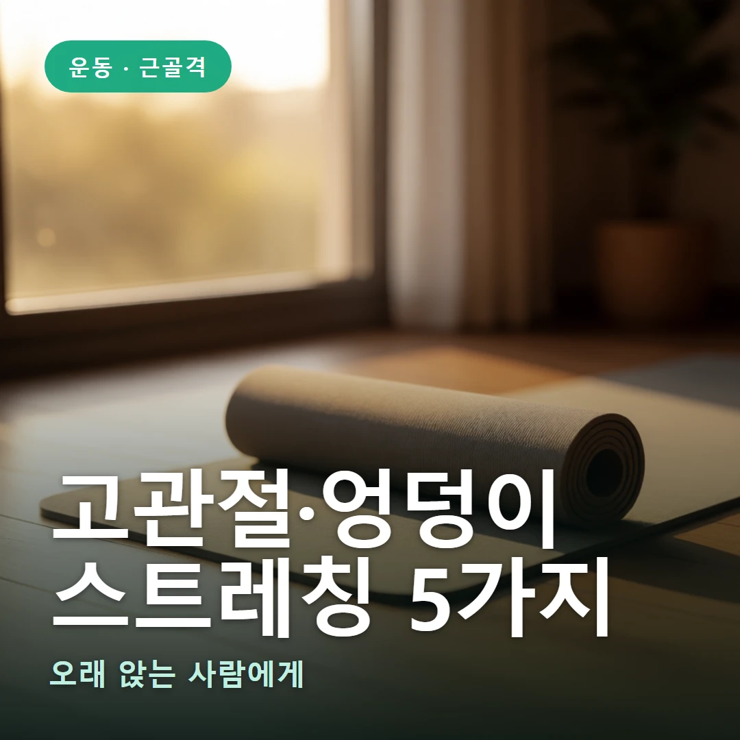 고관절·엉덩이 스트레칭 요약 표지 — 오래 앉는 사람에게