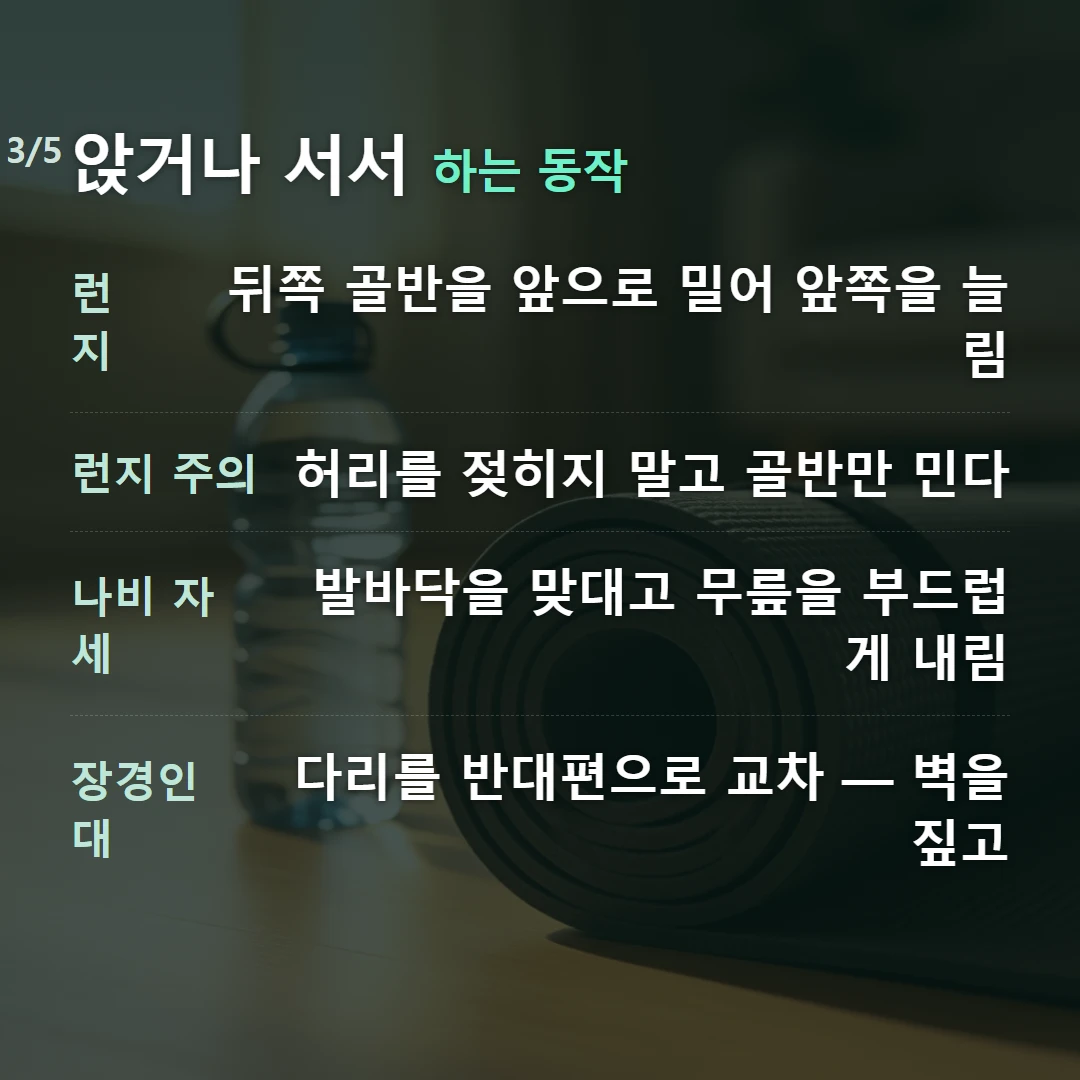 앉거나 서서 하는 동작 — 런지 뒤쪽 골반을 앞으로 밀어 앞쪽을 늘림, 런지 주의 허리를 젖히지 말고 골반만 민다, 나비 자세 발바닥을 맞대고 무릎을 부드럽게 내림, 장경인대 다리를 반대편으로 교차 — 벽을 짚고