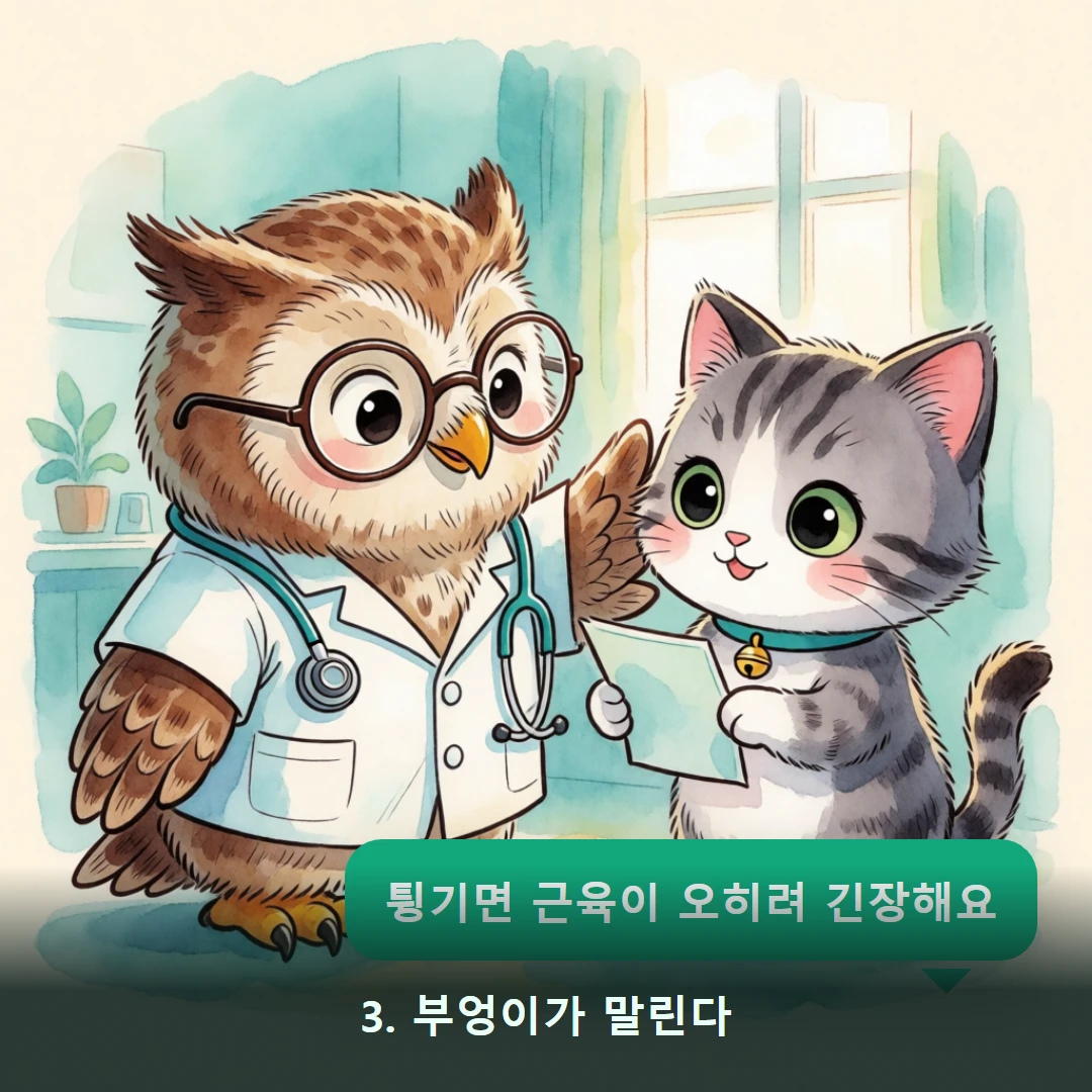 웹툰 3컷 — 3. 부엉이가 말린다 (튕기면 근육이 오히려 긴장해요)