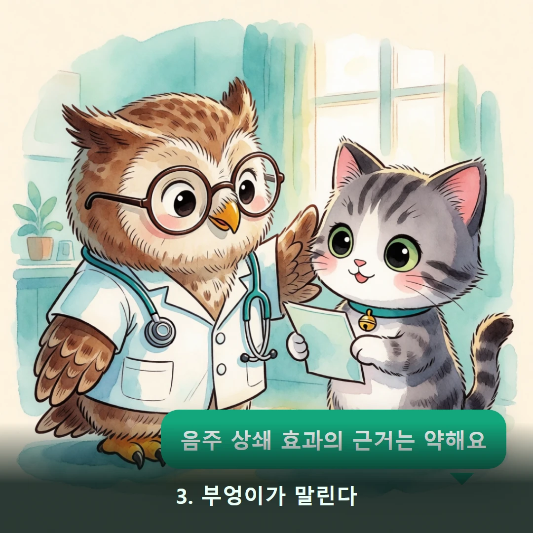 웹툰 3컷 — 3. 부엉이가 말린다 (음주 상쇄 효과의 근거는 약해요)