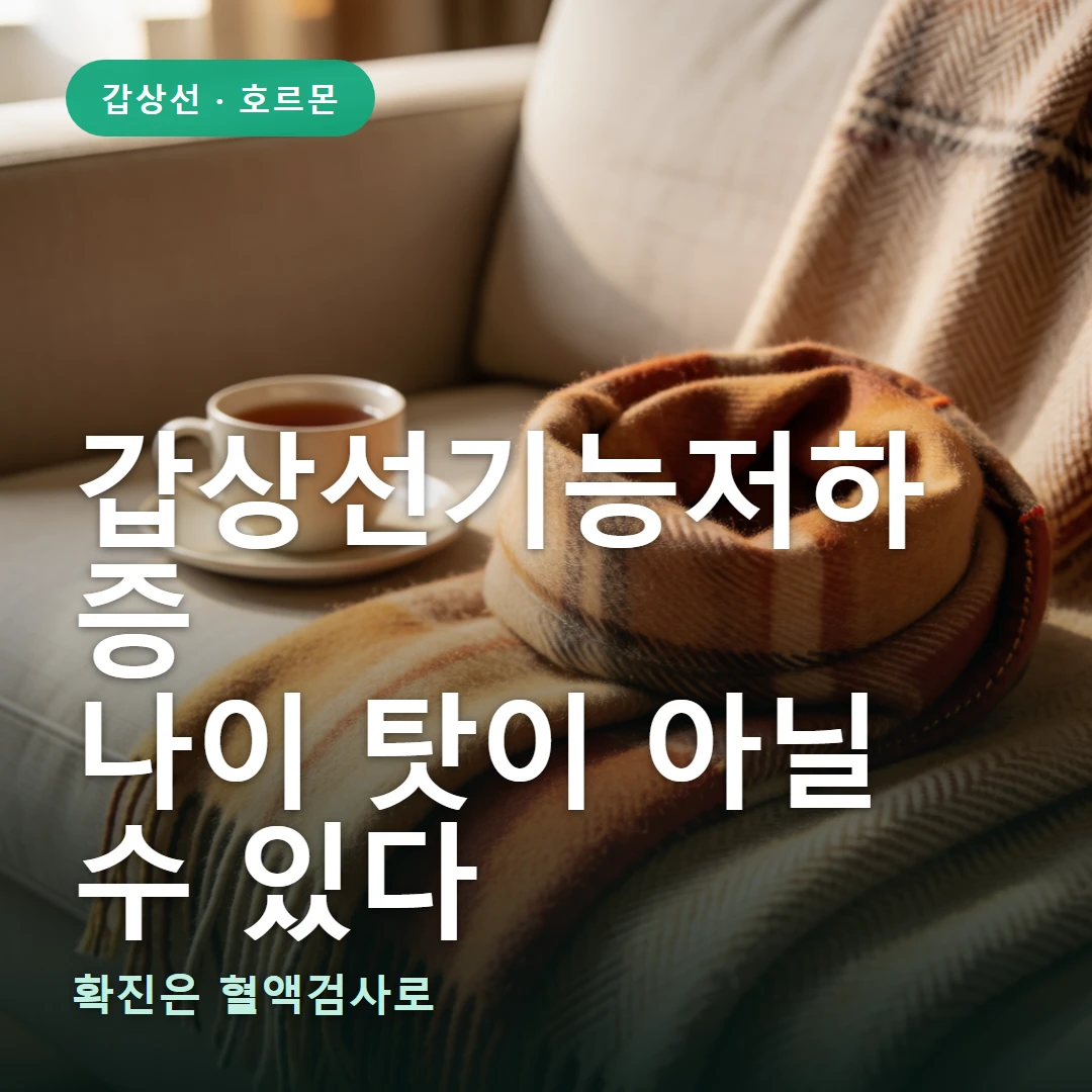 갑상선기능저하증 요약 표지 — 확진은 혈액검사로