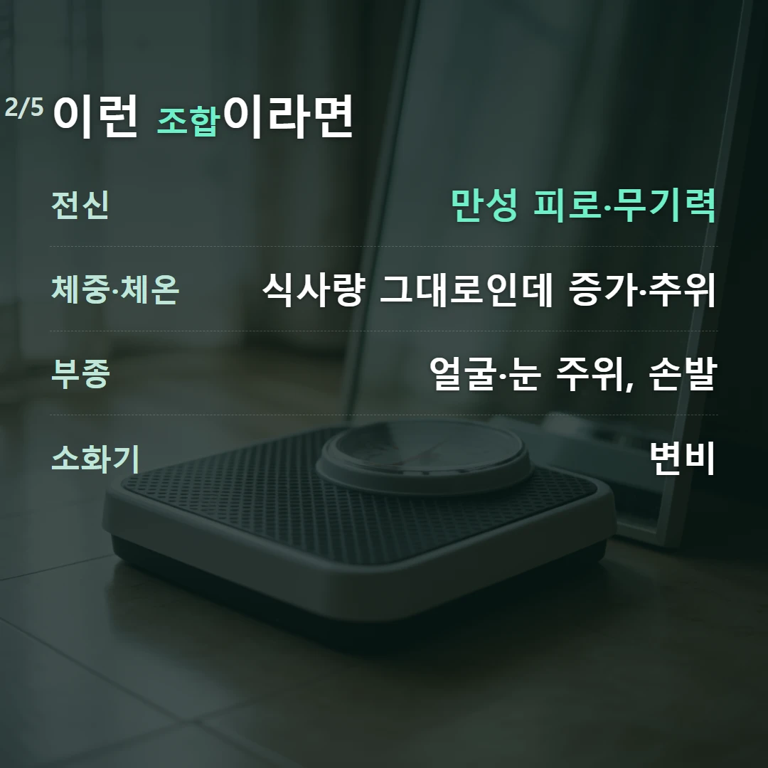 이런 조합이라면 — 전신 만성 피로·무기력, 체중·체온 식사량 그대로인데 증가·추위, 부종 얼굴·눈 주위, 손발, 소화기 변비