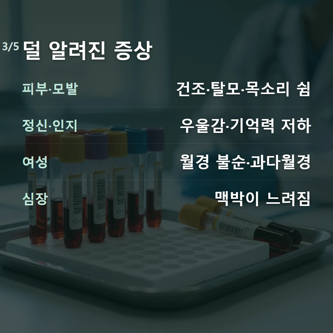 덜 알려진 증상 — 피부·모발 건조·탈모·목소리 쉼, 정신·인지 우울감·기억력 저하, 여성 월경 불순·과다월경, 심장 맥박이 느려짐