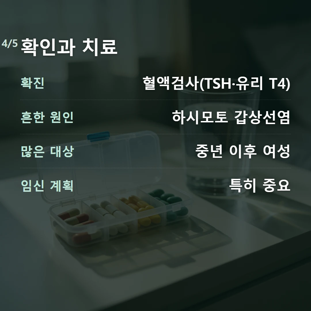 확인과 치료 — 확진 혈액검사(TSH·유리 T4), 흔한 원인 하시모토 갑상선염, 많은 대상 중년 이후 여성, 임신 계획 특히 중요