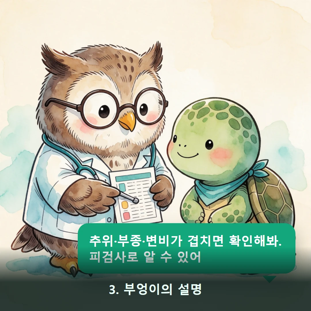 웹툰 3컷 — 3. 부엉이의 설명 (추위·부종·변비가 겹치면 확인해봐. 피검사로 알 수 있어)