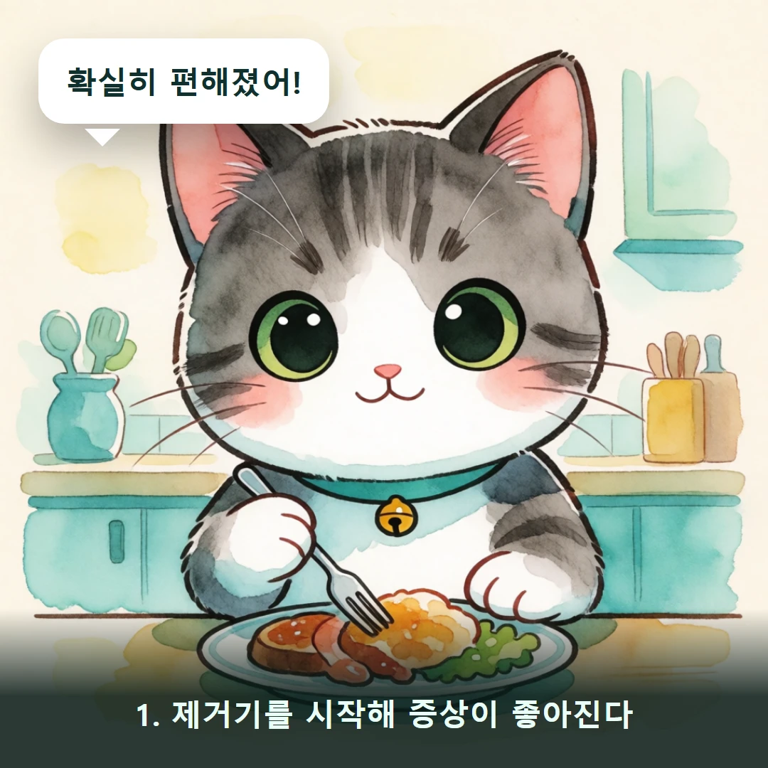 웹툰 1컷 — 1. 제거기를 시작해 증상이 좋아진다 (확실히 편해졌어!)