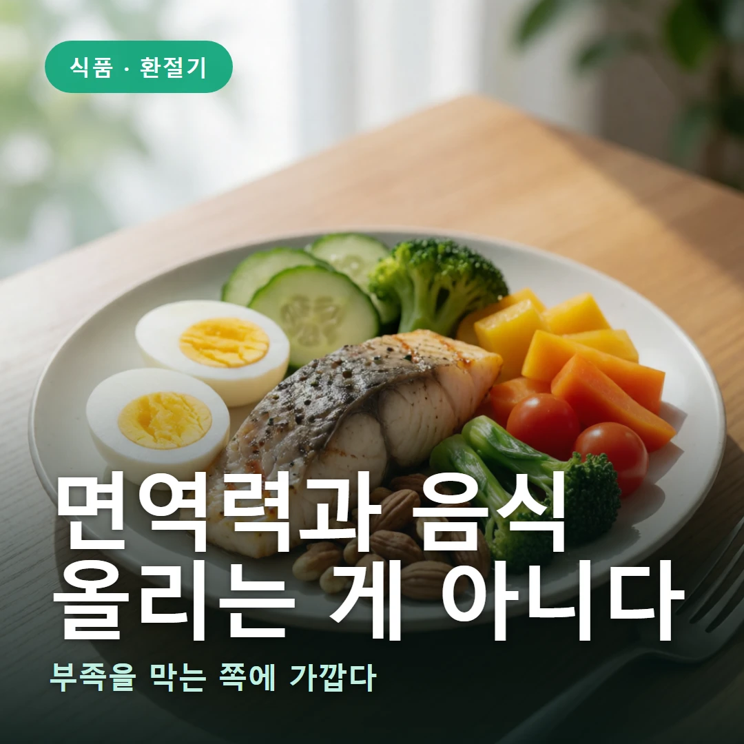 면역력과 음식 요약 표지 — 부족을 막는 쪽에 가깝다