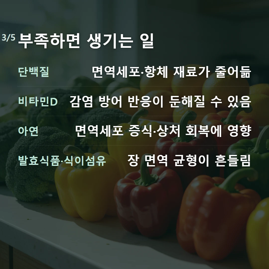 부족하면 생기는 일 — 단백질 면역세포·항체 재료가 줄어듦, 비타민D 감염 방어 반응이 둔해질 수 있음, 아연 면역세포 증식·상처 회복에 영향, 발효식품·식이섬유 장 면역 균형이 흔들림