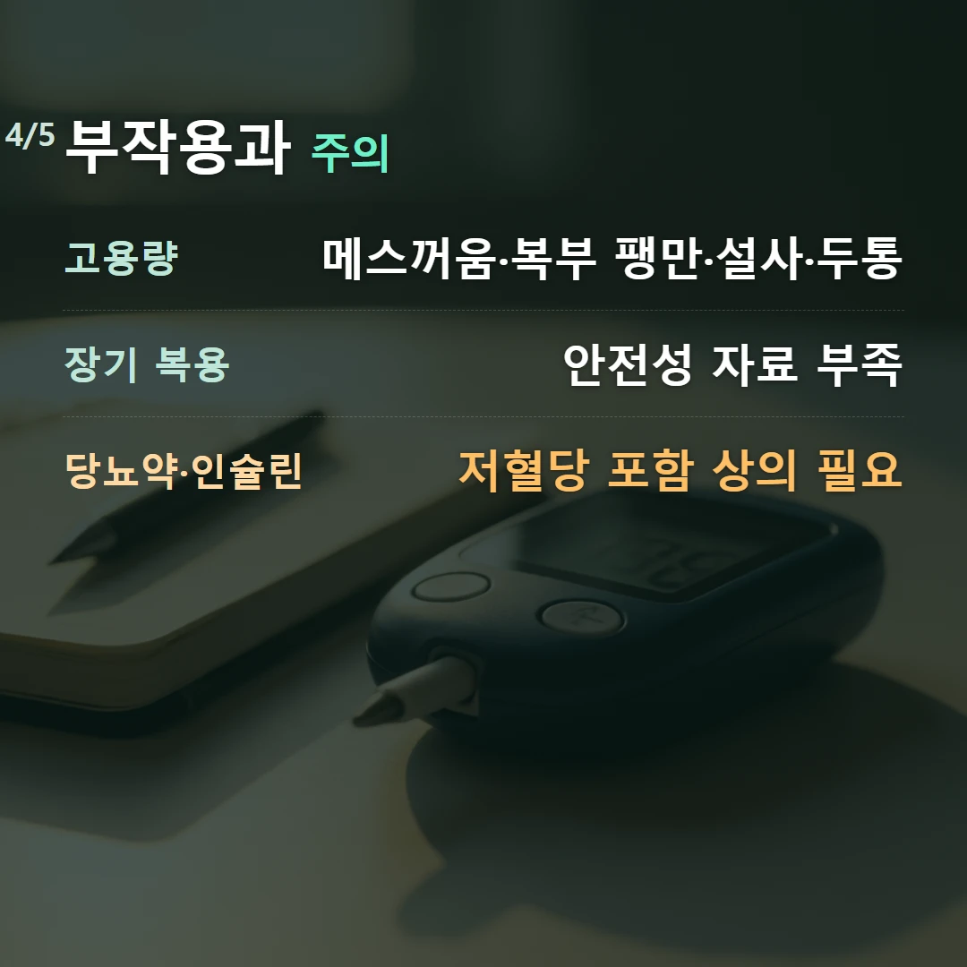 부작용과 주의 — 고용량 메스꺼움·복부 팽만·설사·두통, 장기 복용 안전성 자료 부족, 당뇨약·인슐린 저혈당 포함 상의 필요