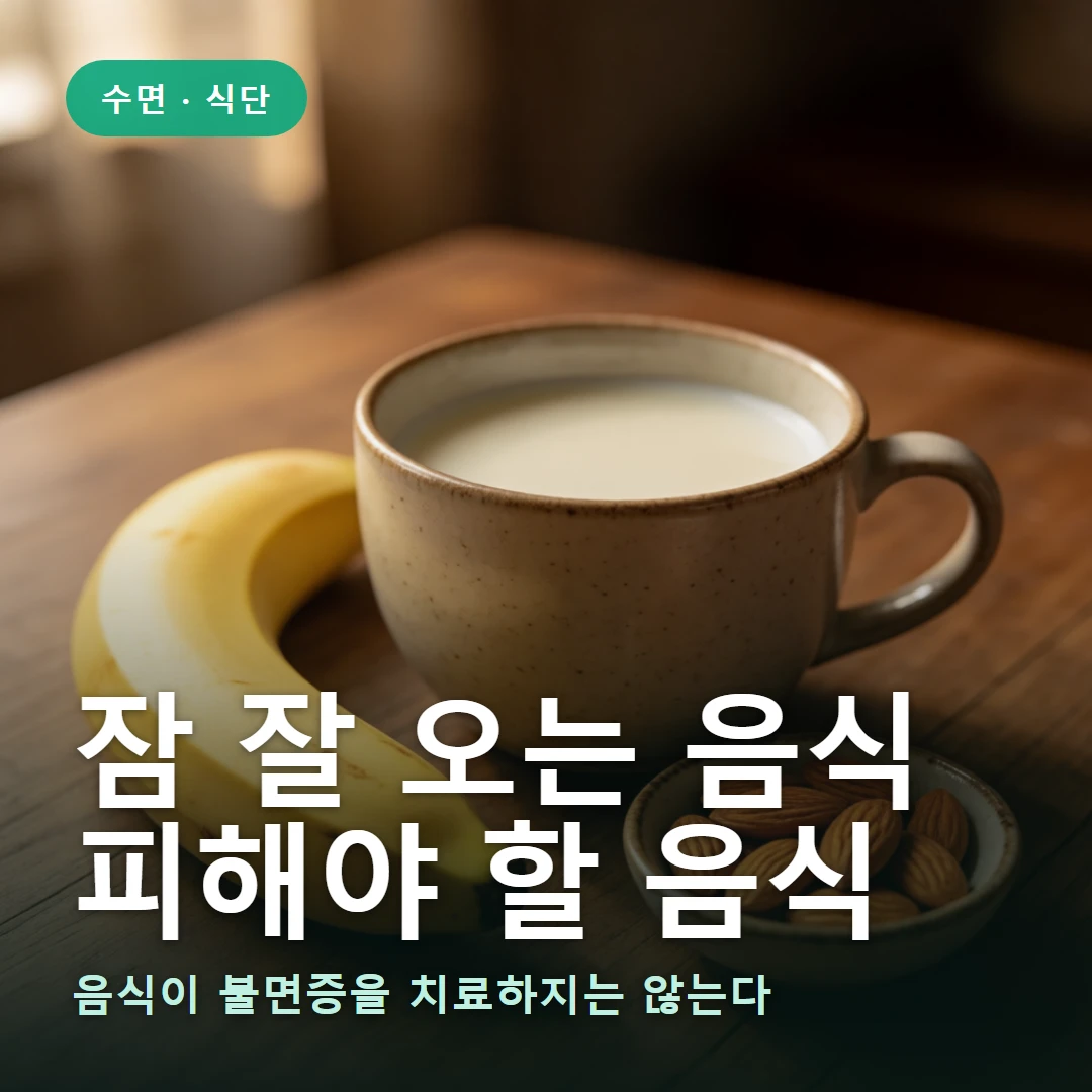 수면과 음식 요약 표지 — 음식이 불면증을 치료하지는 않는다
