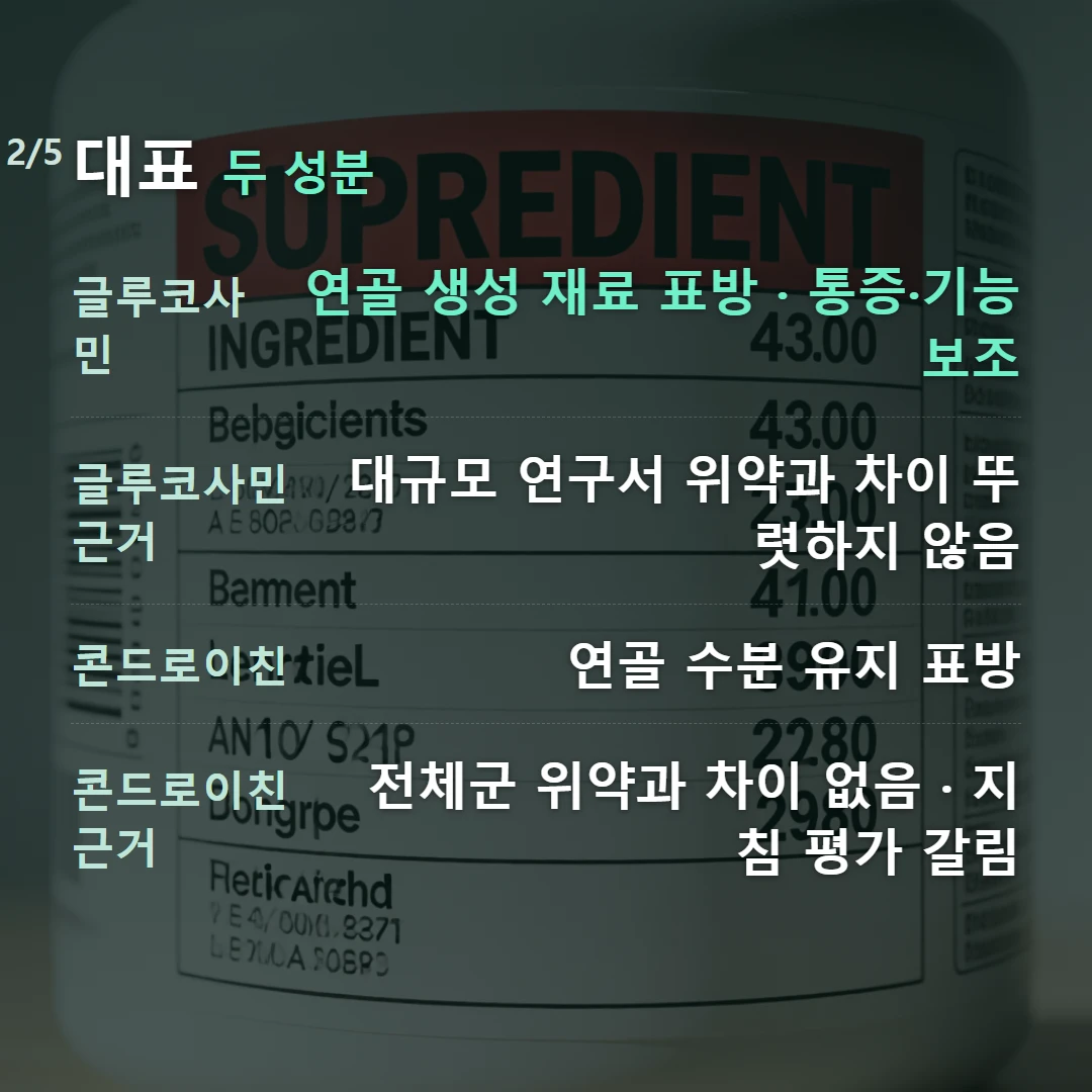 대표 두 성분 — 글루코사민 연골 생성 재료 표방 · 통증·기능 보조, 글루코사민 근거 대규모 연구서 위약과 차이 뚜렷하지 않음, 콘드로이친 연골 수분 유지 표방, 콘드로이친 근거 전체군 위약과 차이 없음 · 지침 평가 갈림