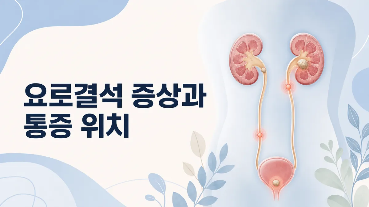 요로결석 증상과 통증 위치