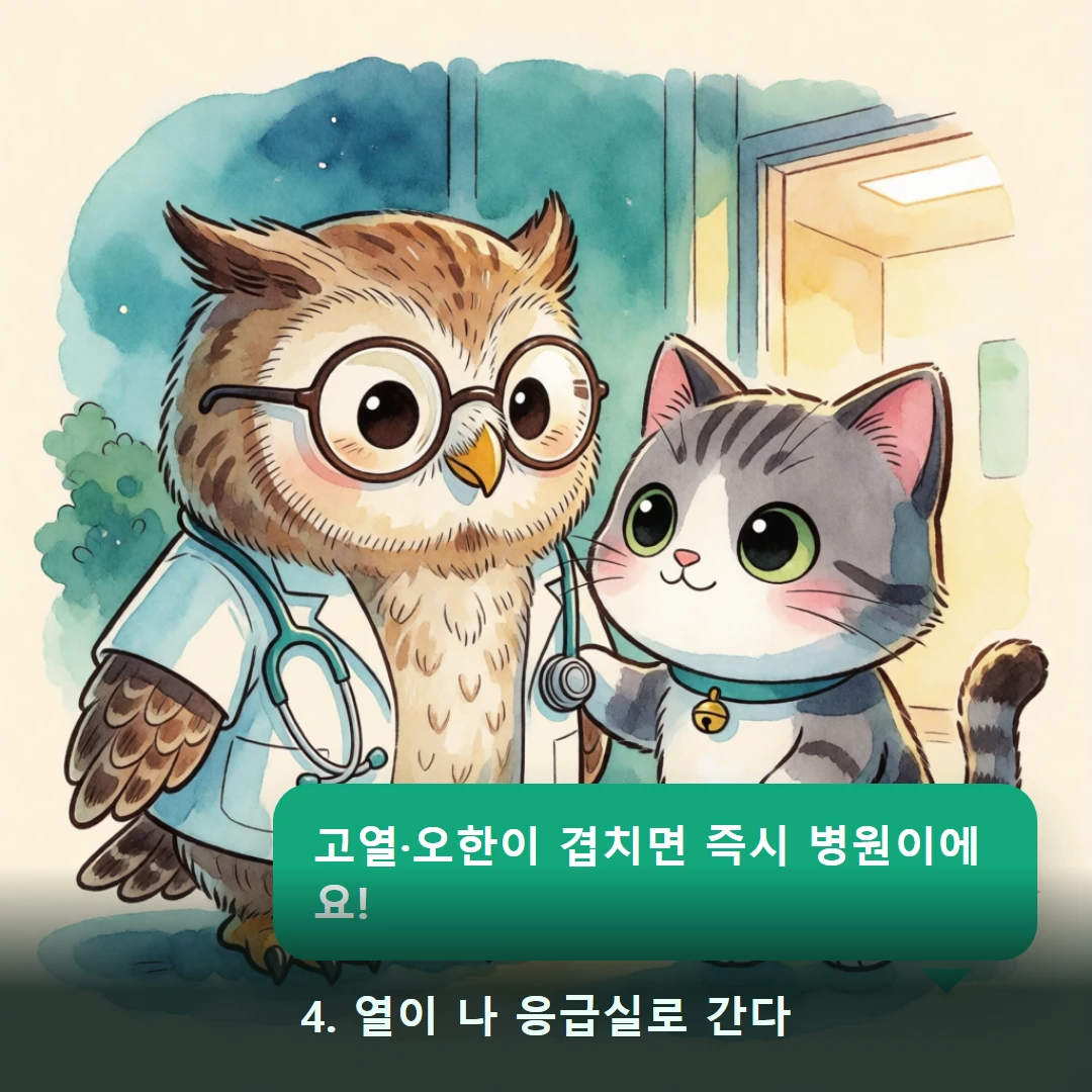 웹툰 4컷 — 4. 열이 나 응급실로 간다 (고열·오한이 겹치면 즉시 병원이에요!)