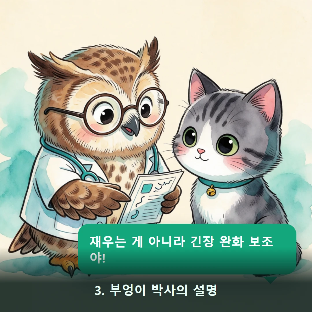 웹툰 3컷 — 3. 부엉이 박사의 설명 (재우는 게 아니라 긴장 완화 보조야!)
