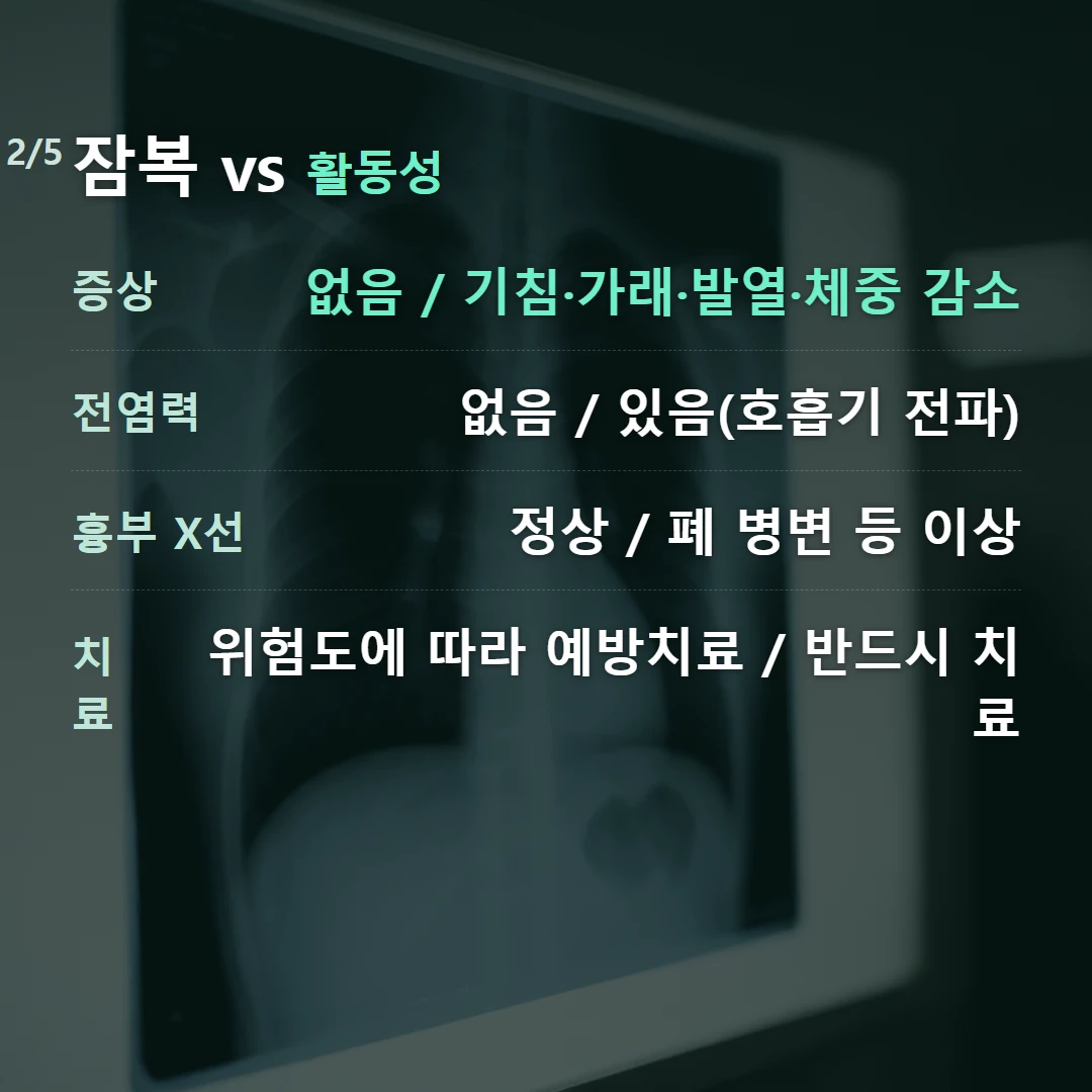 잠복 vs 활동성 — 증상 없음 / 기침·가래·발열·체중 감소, 전염력 없음 / 있음(호흡기 전파), 흉부 X선 정상 / 폐 병변 등 이상, 치료 위험도에 따라 예방치료 / 반드시 치료