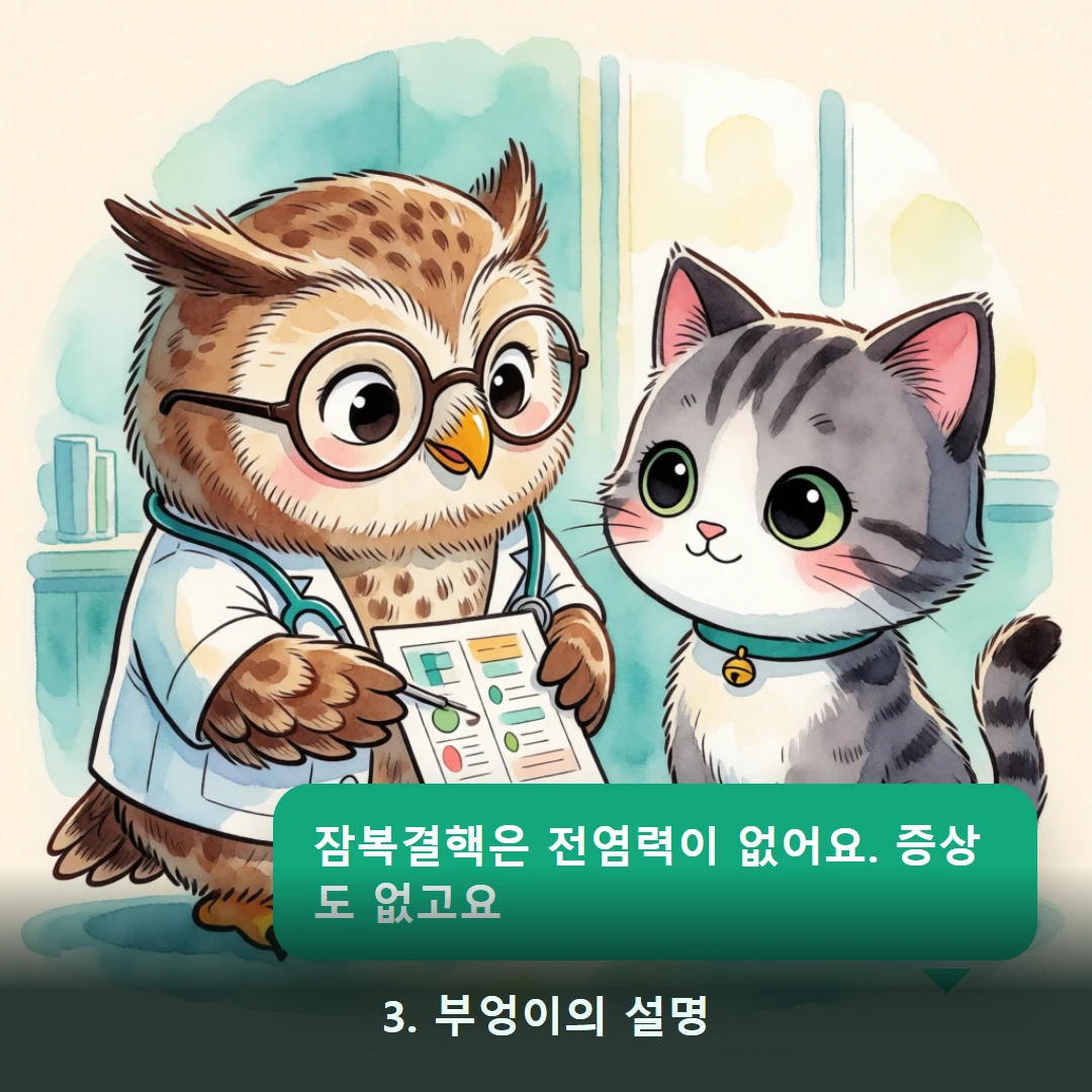 웹툰 3컷 — 3. 부엉이의 설명 (잠복결핵은 전염력이 없어요. 증상도 없고요)