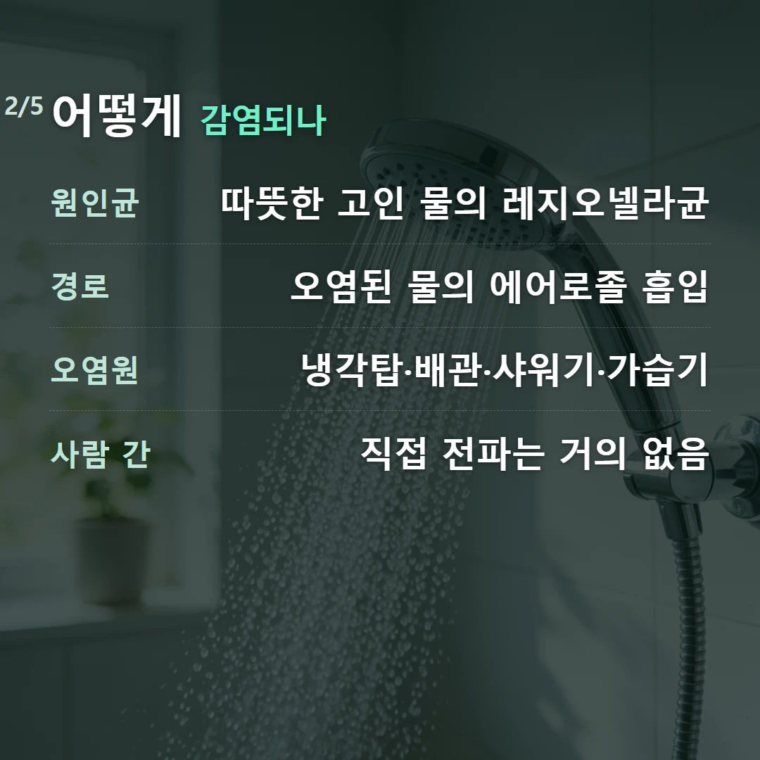 어떻게 감염되나 — 원인균 따뜻한 고인 물의 레지오넬라균, 경로 오염된 물의 에어로졸 흡입, 오염원 냉각탑·배관·샤워기·가습기, 사람 간 직접 전파는 거의 없음