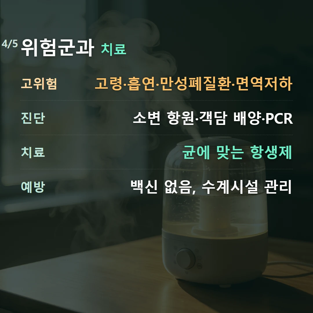 위험군과 치료 — 고위험 고령·흡연·만성폐질환·면역저하, 진단 소변 항원·객담 배양·PCR, 치료 균에 맞는 항생제, 예방 백신 없음, 수계시설 관리