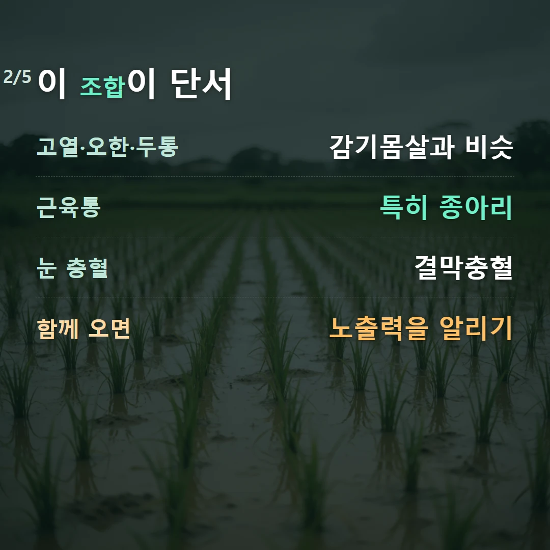 이 조합이 단서 — 고열·오한·두통 감기몸살과 비슷, 근육통 특히 종아리, 눈 충혈 결막충혈, 함께 오면 노출력을 알리기