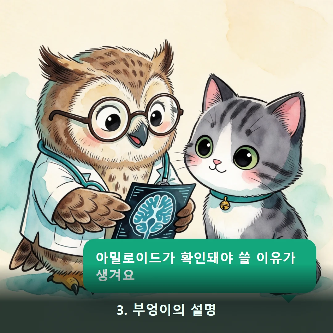 웹툰 3컷 — 3. 부엉이의 설명 (아밀로이드가 확인돼야 쓸 이유가 생겨요)
