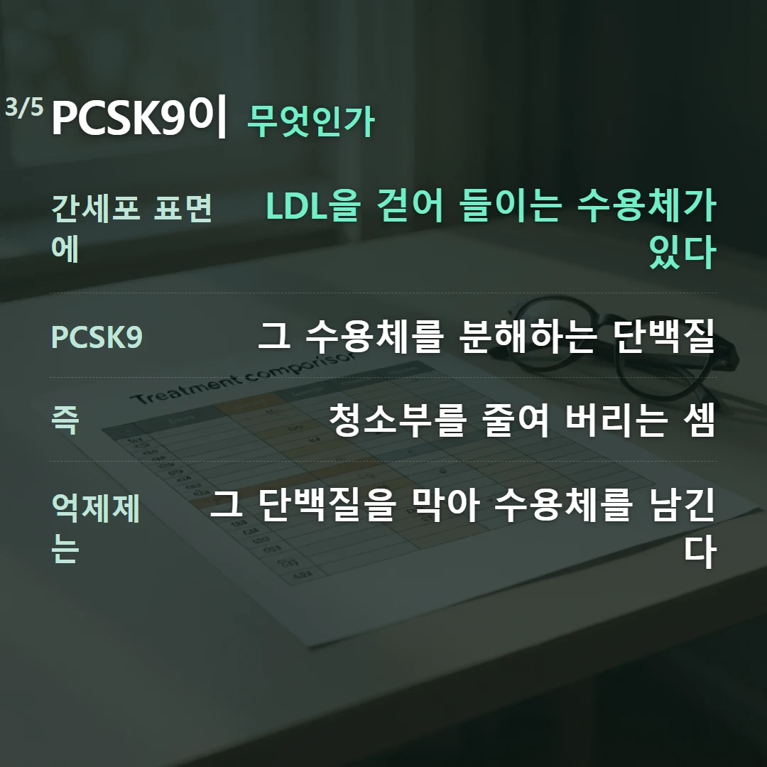 PCSK9이 무엇인가 — 간세포 표면에 LDL을 걷어 들이는 수용체가 있다, PCSK9 그 수용체를 분해하는 단백질, 즉 청소부를 줄여 버리는 셈, 억제제는 그 단백질을 막아 수용체를 남긴다