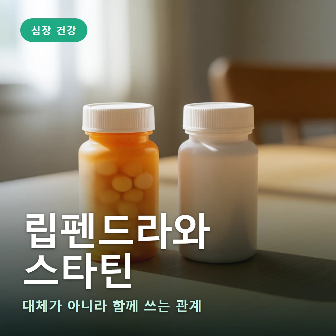 립펜드라와 스타틴 요약 표지 — 대체가 아니라 함께 쓰는 관계