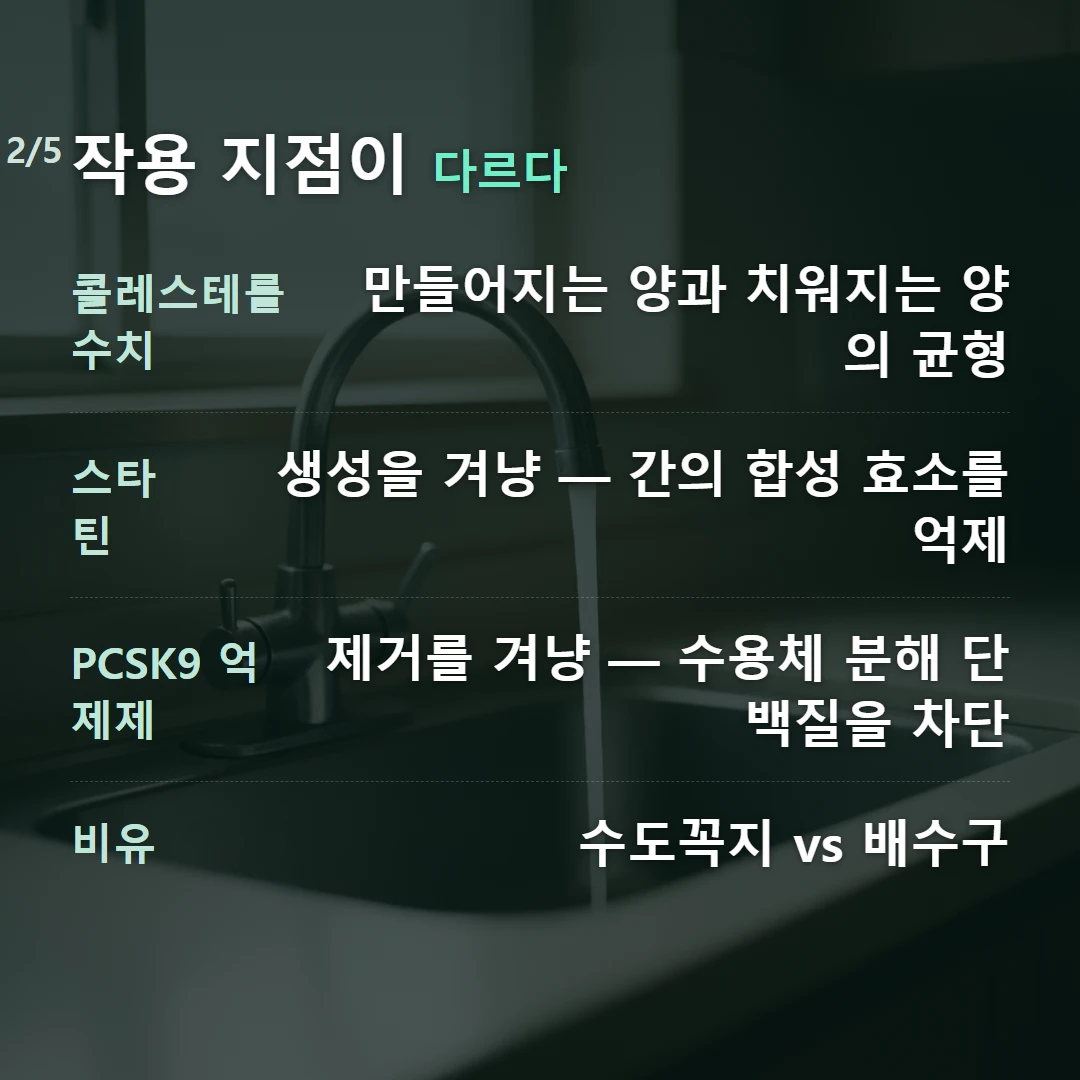 작용 지점이 다르다 — 콜레스테롤 수치 만들어지는 양과 치워지는 양의 균형, 스타틴 생성을 겨냥 — 간의 합성 효소를 억제, PCSK9 억제제 제거를 겨냥 — 수용체 분해 단백질을 차단, 비유 수도꼭지 vs 배수구