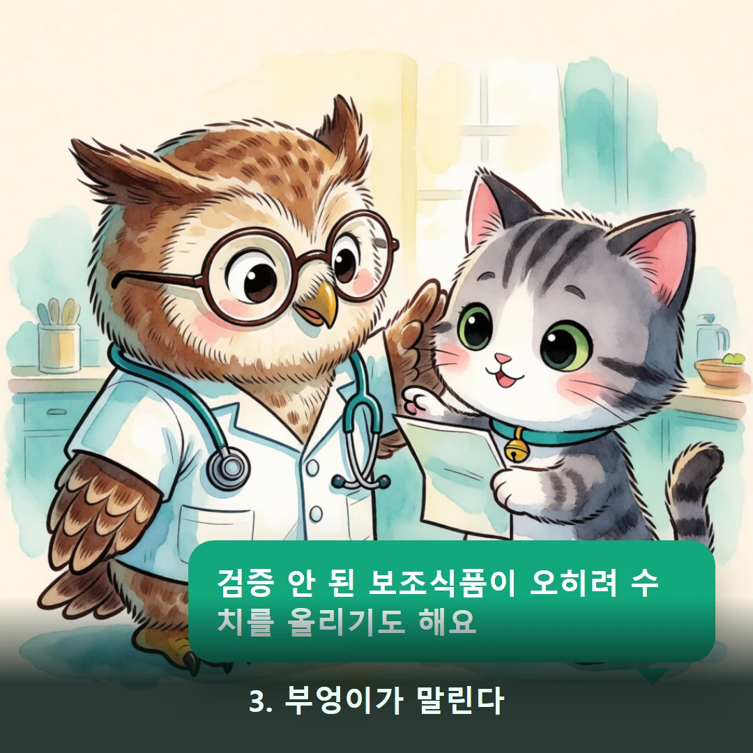 웹툰 3컷 — 3. 부엉이가 말린다 (검증 안 된 보조식품이 오히려 수치를 올리기도 해요)
