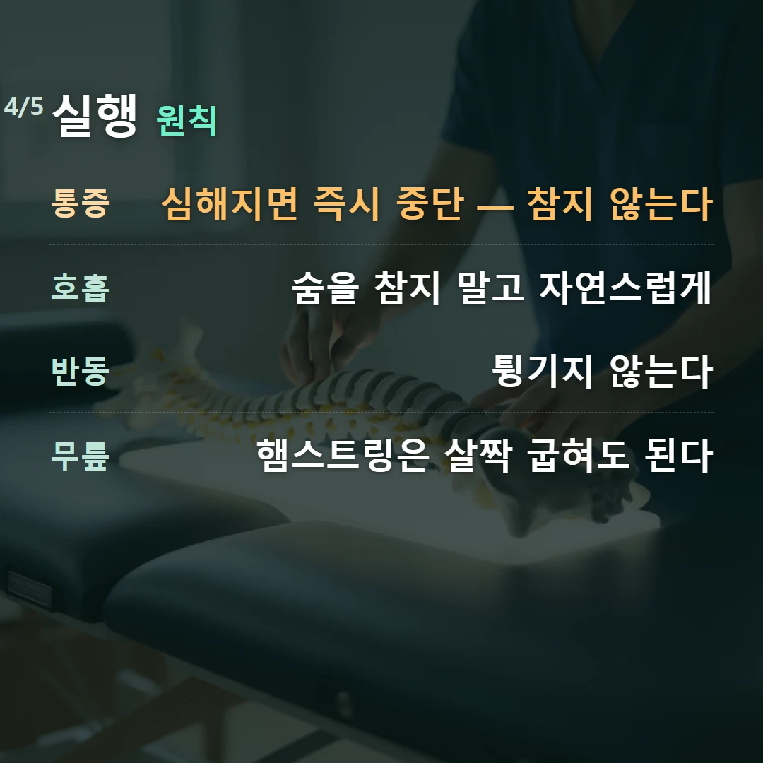 실행 원칙 — 통증 심해지면 즉시 중단 — 참지 않는다, 호흡 숨을 참지 말고 자연스럽게, 반동 튕기지 않는다, 무릎 햄스트링은 살짝 굽혀도 된다