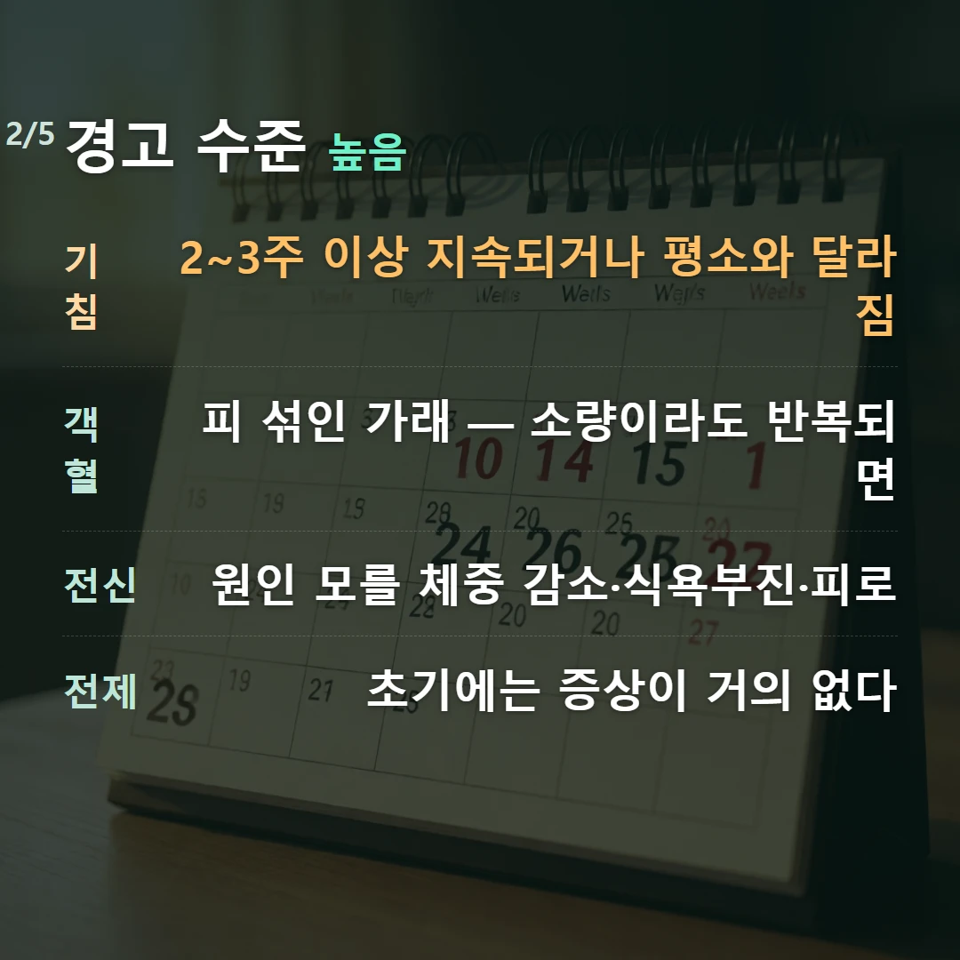 경고 수준 높음 — 기침 2~3주 이상 지속되거나 평소와 달라짐, 객혈 피 섞인 가래 — 소량이라도 반복되면, 전신 원인 모를 체중 감소·식욕부진·피로, 전제 초기에는 증상이 거의 없다