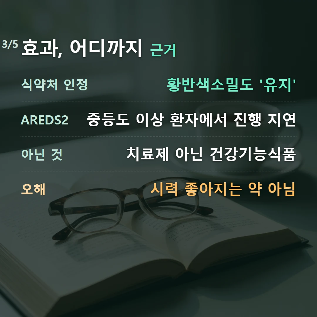 효과, 어디까지 근거 — 식약처 인정 황반색소밀도 '유지', AREDS2 중등도 이상 환자에서 진행 지연, 아닌 것 치료제 아닌 건강기능식품, 오해 시력 좋아지는 약 아님
