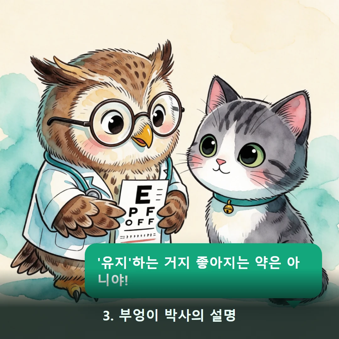 웹툰 3컷 — 3. 부엉이 박사의 설명 ('유지'하는 거지 좋아지는 약은 아니야!)