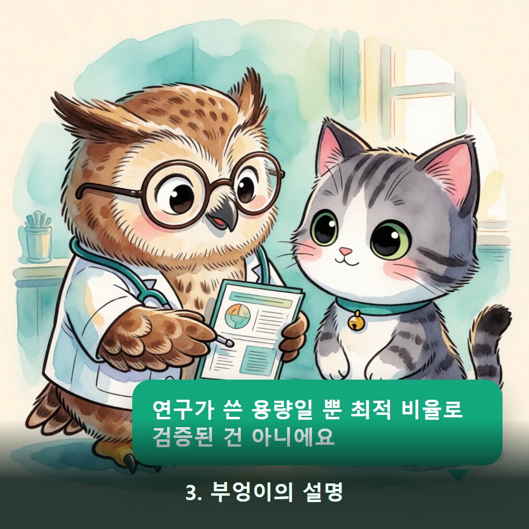 웹툰 3컷 — 3. 부엉이의 설명 (연구가 쓴 용량일 뿐 최적 비율로 검증된 건 아니에요)