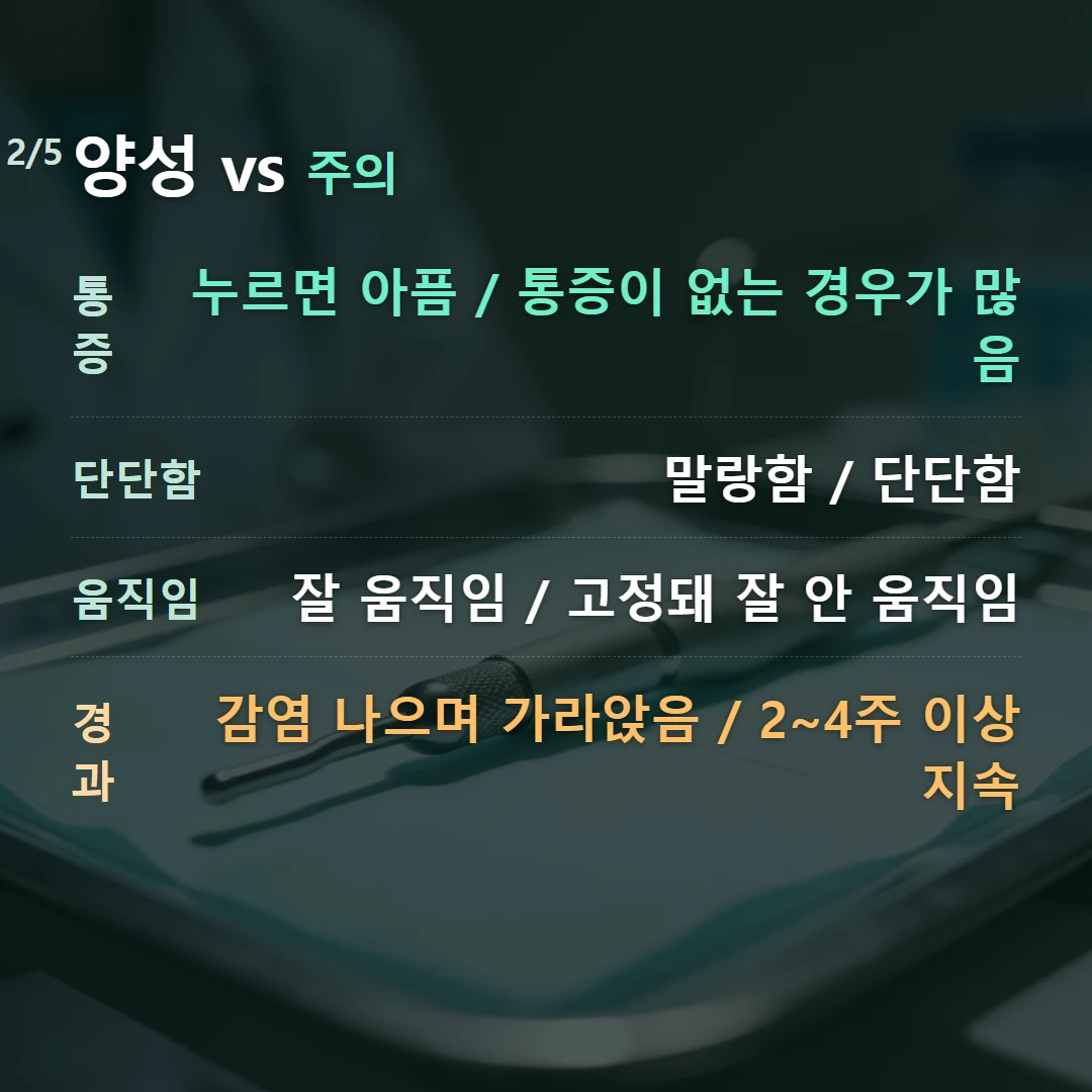 양성 vs 주의 — 통증 누르면 아픔 / 통증이 없는 경우가 많음, 단단함 말랑함 / 단단함, 움직임 잘 움직임 / 고정돼 잘 안 움직임, 경과 감염 나으며 가라앉음 / 2~4주 이상 지속