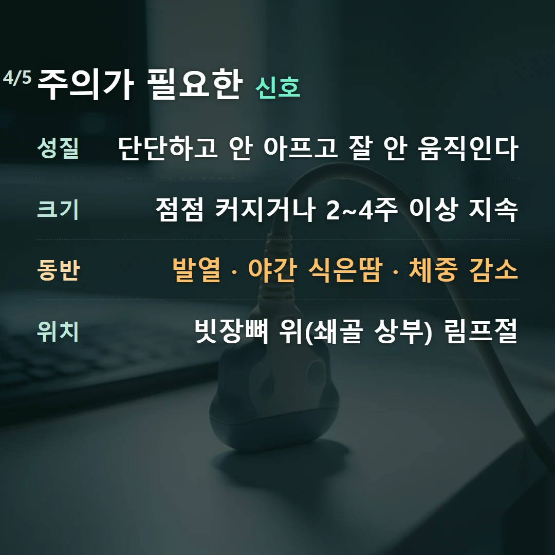 주의가 필요한 신호 — 성질 단단하고 안 아프고 잘 안 움직인다, 크기 점점 커지거나 2~4주 이상 지속, 동반 발열 · 야간 식은땀 · 체중 감소, 위치 빗장뼈 위(쇄골 상부) 림프절