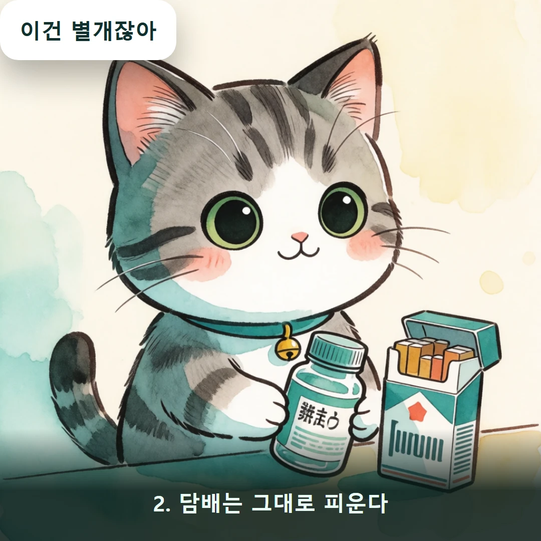 웹툰 2컷 — 2. 담배는 그대로 피운다 (이건 별개잖아)