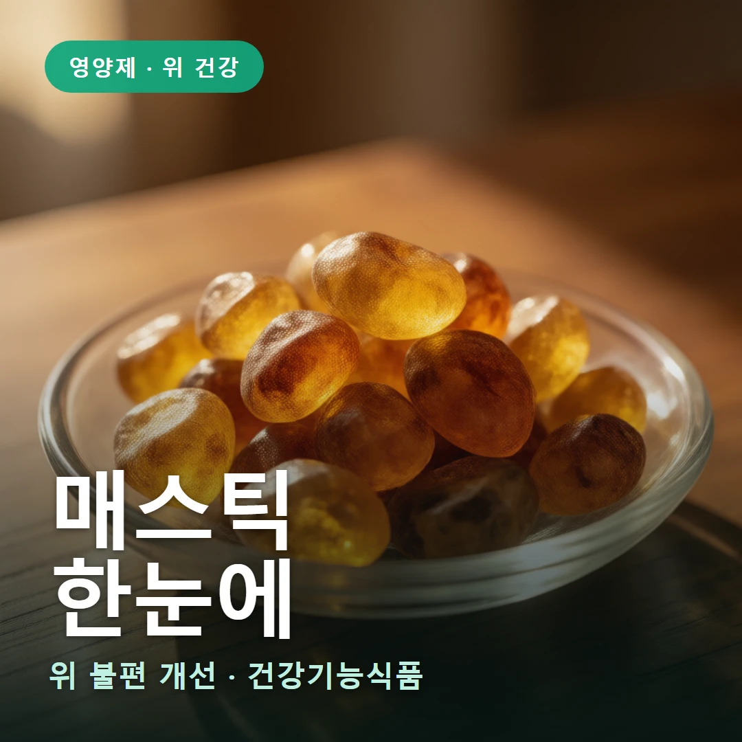 매스틱 요약 표지 — 위 불편 개선 · 건강기능식품