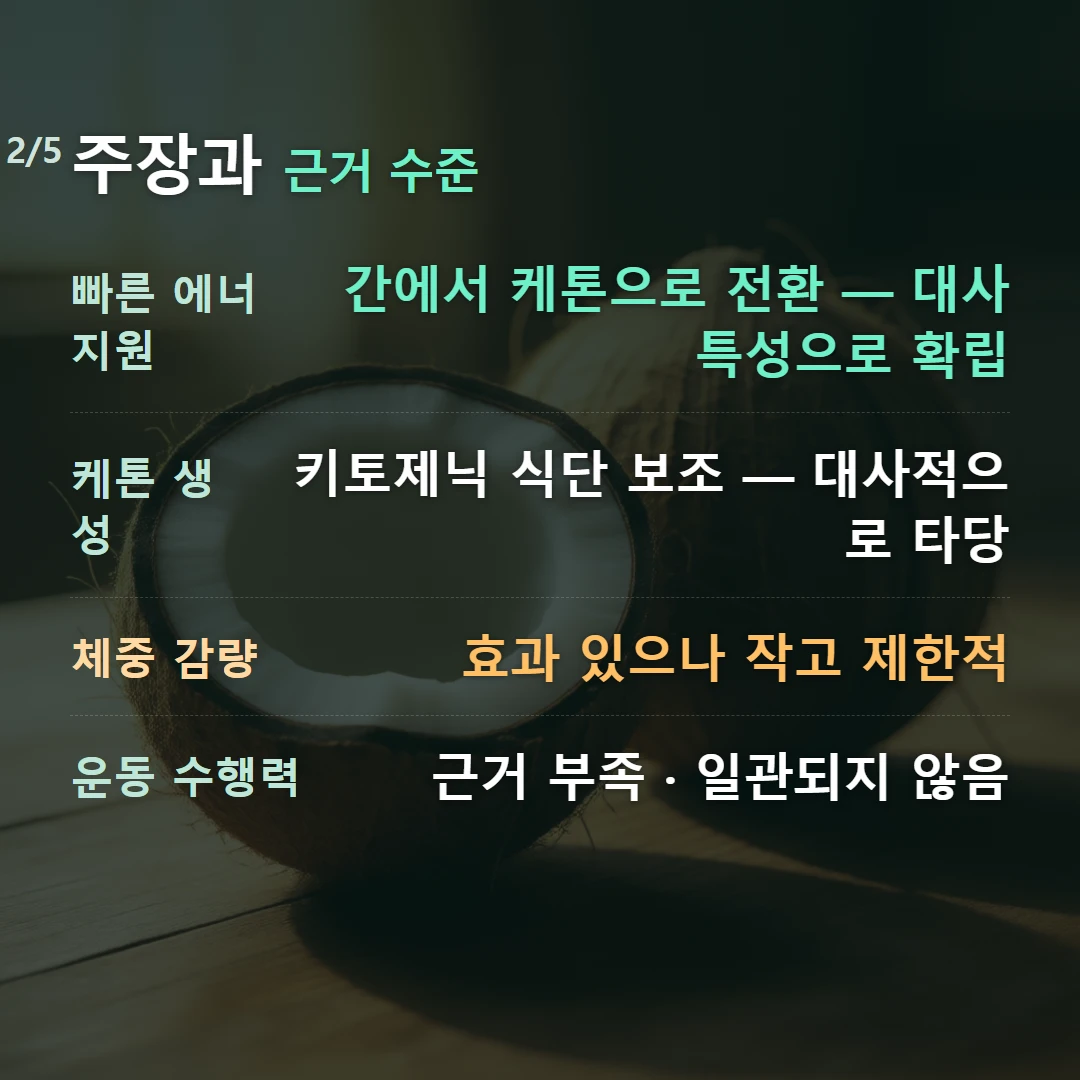 주장과 근거 수준 — 빠른 에너지원 간에서 케톤으로 전환 — 대사 특성으로 확립, 케톤 생성 키토제닉 식단 보조 — 대사적으로 타당, 체중 감량 효과 있으나 작고 제한적, 운동 수행력 근거 부족 · 일관되지 않음