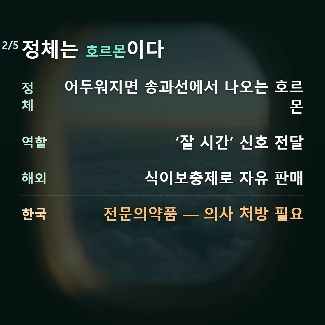 정체는 호르몬이다 — 정체 어두워지면 송과선에서 나오는 호르몬, 역할 ‘잘 시간’ 신호 전달, 해외 식이보충제로 자유 판매, 한국 전문의약품 — 의사 처방 필요