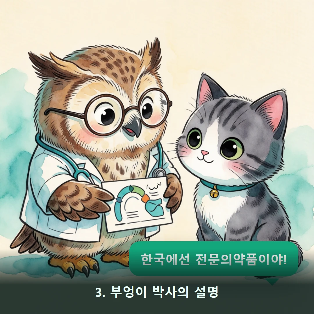 웹툰 3컷 — 3. 부엉이 박사의 설명 (한국에선 전문의약품이야!)