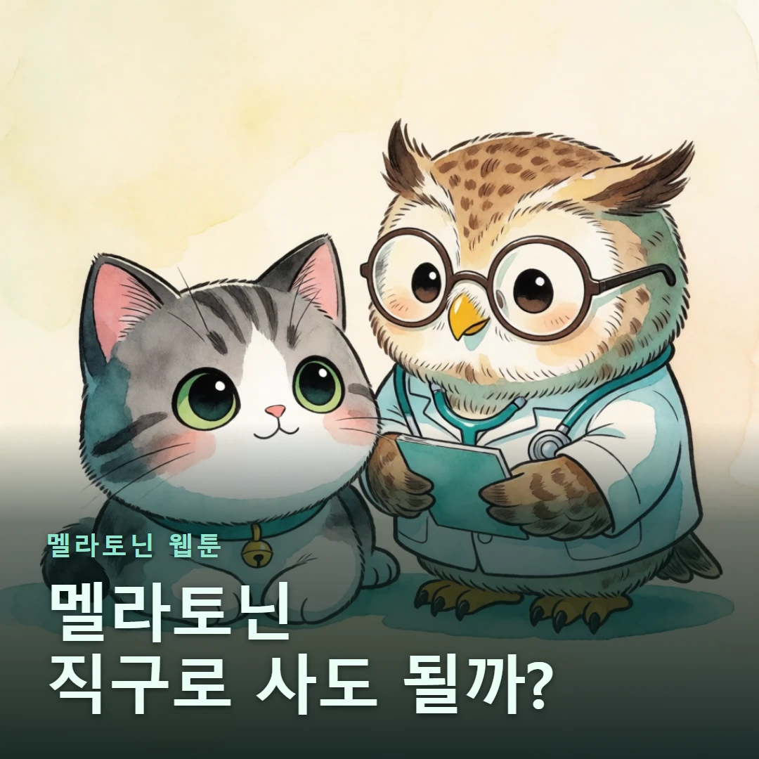 멜라토닌 웹툰 표지 — 멜라토닌 직구로 사도 될까?