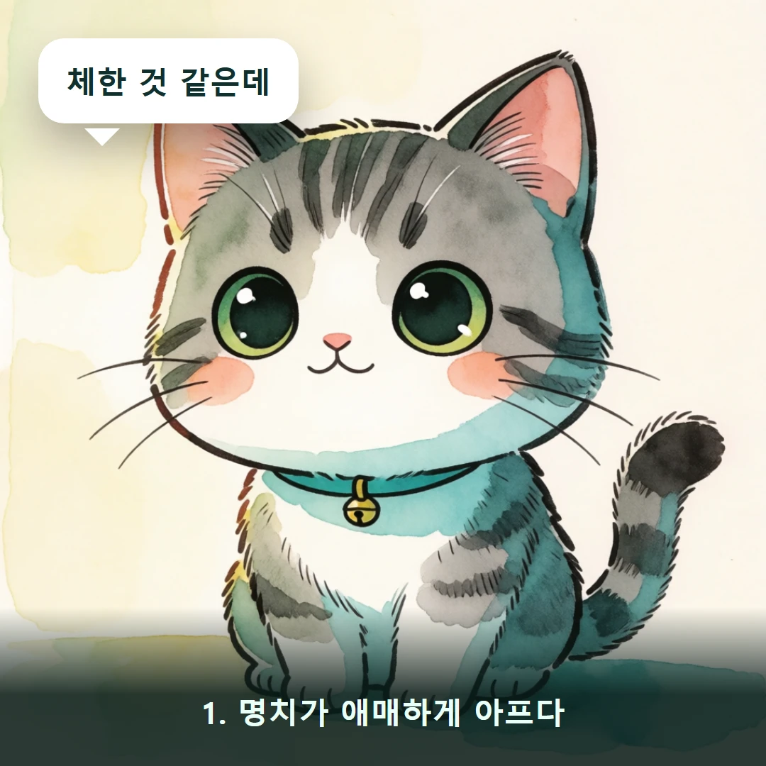 웹툰 1컷 — 1. 명치가 애매하게 아프다 (체한 것 같은데)