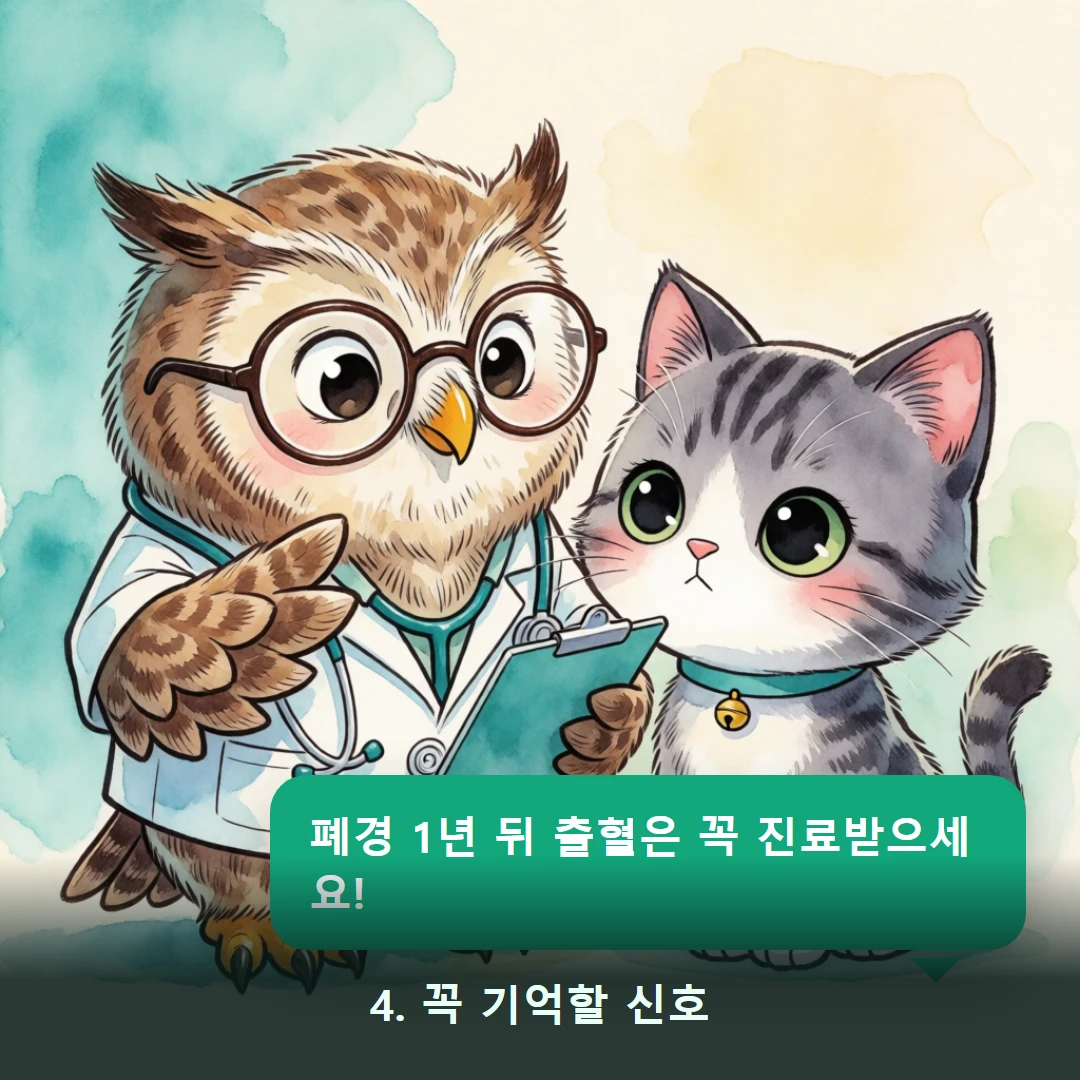 웹툰 4컷 — 4. 꼭 기억할 신호 (폐경 1년 뒤 출혈은 꼭 진료받으세요!)