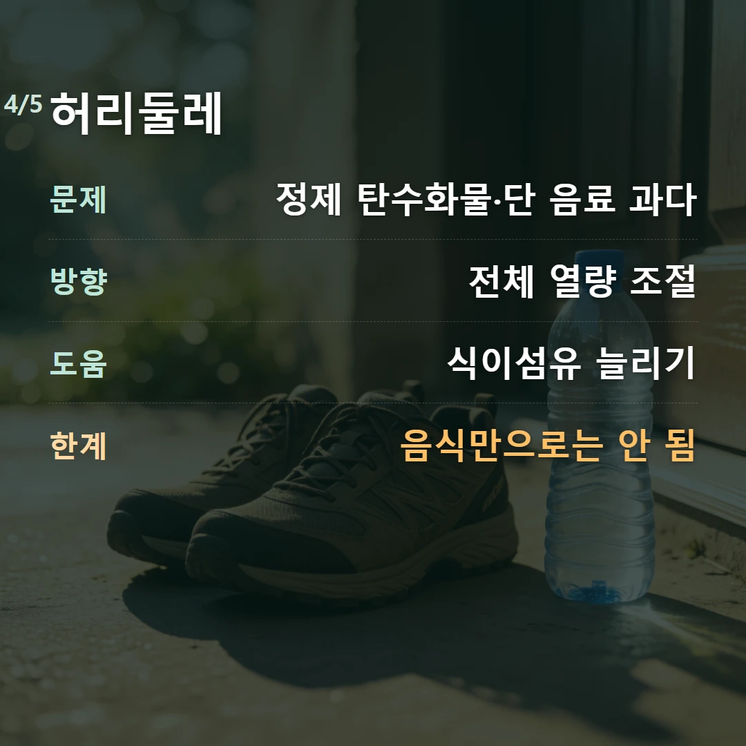 허리둘레 — 문제 정제 탄수화물·단 음료 과다, 방향 전체 열량 조절, 도움 식이섬유 늘리기, 한계 음식만으로는 안 됨