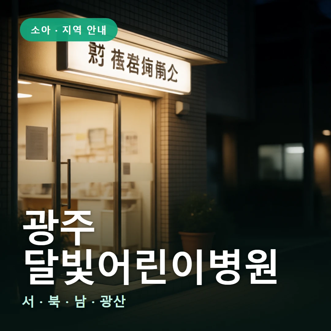 광주 달빛어린이병원 요약 표지 — 서 · 북 · 남 · 광산