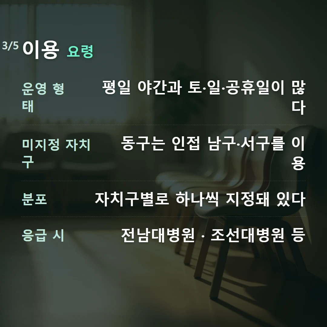 이용 요령 — 운영 형태 평일 야간과 토·일·공휴일이 많다, 미지정 자치구 동구는 인접 남구·서구를 이용, 분포 자치구별로 하나씩 지정돼 있다, 응급 시 전남대병원 · 조선대병원 등
