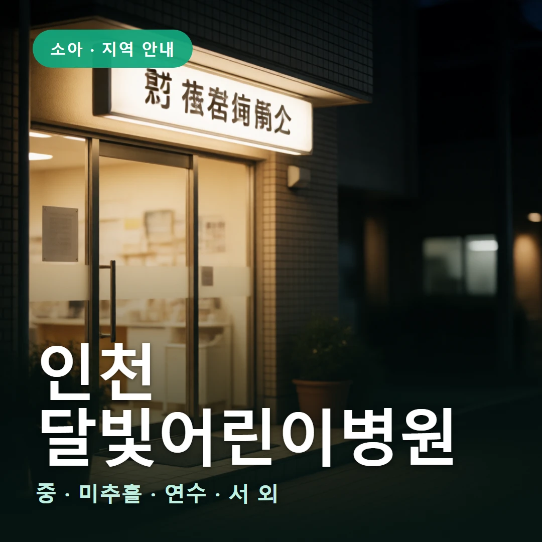 인천 달빛어린이병원 요약 표지 — 중 · 미추홀 · 연수 · 서 외
