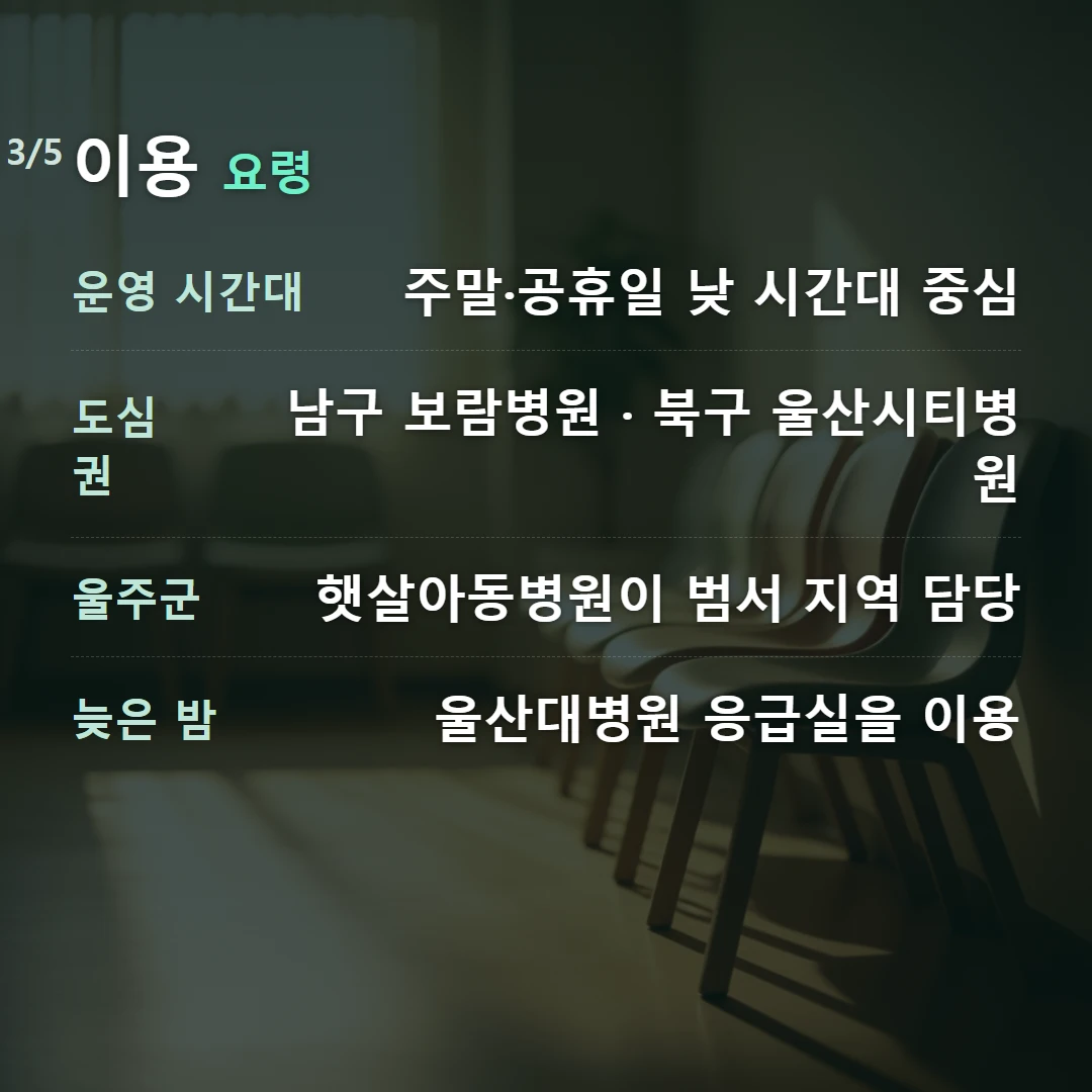 이용 요령 — 운영 시간대 주말·공휴일 낮 시간대 중심, 도심권 남구 보람병원 · 북구 울산시티병원, 울주군 햇살아동병원이 범서 지역 담당, 늦은 밤 울산대병원 응급실을 이용